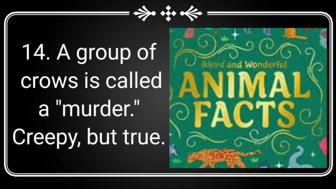 Unbelievable Animal Facts That Sound Fake (But Are True!) #animals #facts #animalsfacts 