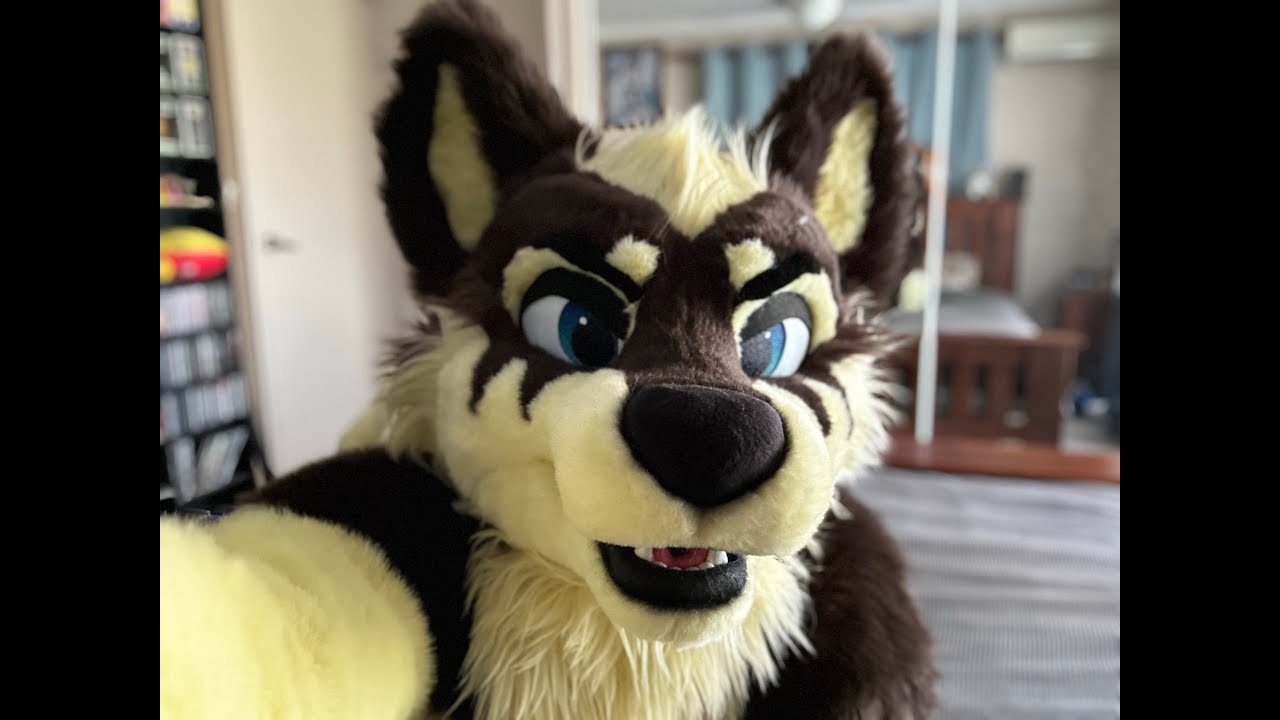 Jaron Fursuit Unboxing! (Suit made by FursuitsByLacy)