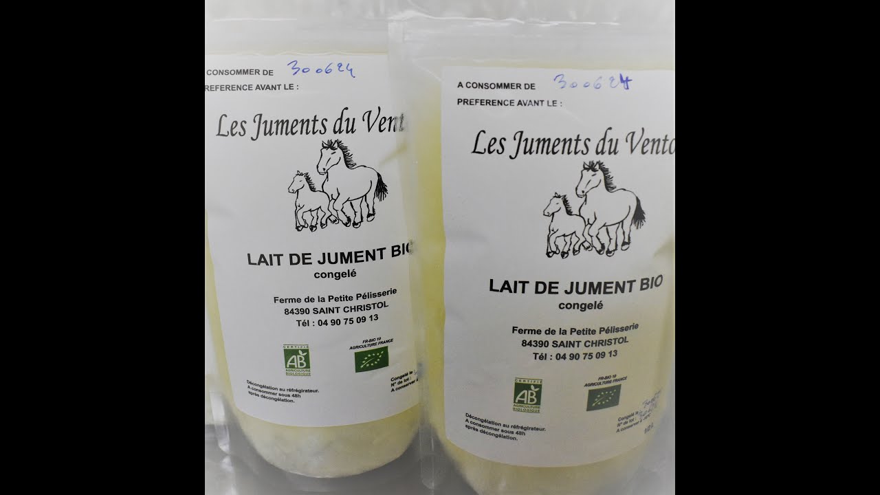 Producteur de lait bio de jument🥛Je trais mes juments🤩 Ardennaise dans ma ch&egrave;re Provence