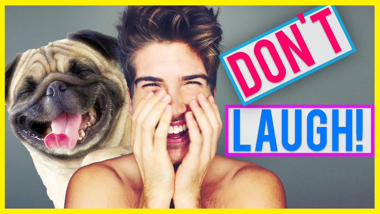 TRY NOT TO LAUGH CHALLENGE! - ANIMAL FAILS!