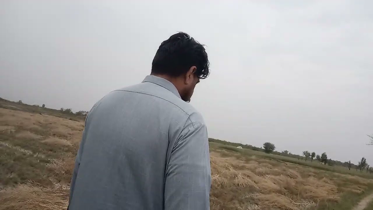 Techniques for getting maximum yields from low soils | Farmer success stories 