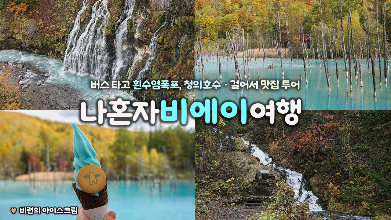 나혼자 비에이 여행｜🚶뚜벅이로 비에이 여행 ｜버스 타고 흰수염폭포, 청의 호수｜비에이의 '비'가 내리는 비인 것인가 ☔｜경비, 구글맵링크 → 더보기란｜혼자 일본여행 하는사람er