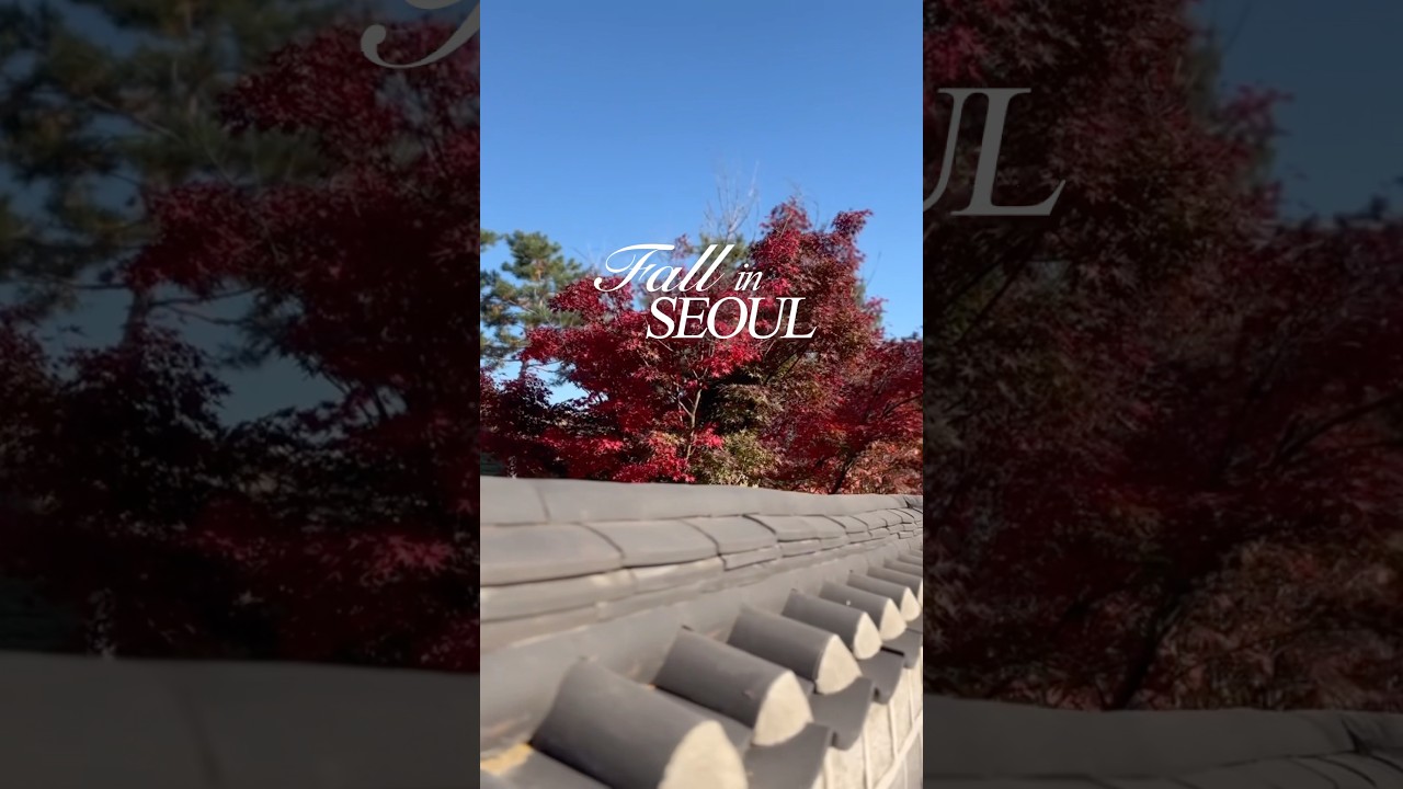 Seoul looks good in fall colors 🍁🍂