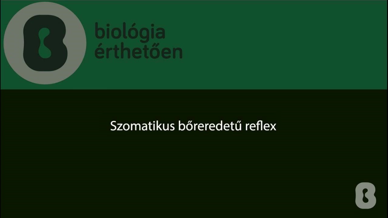 Szomatikus bőreredetű reflexek