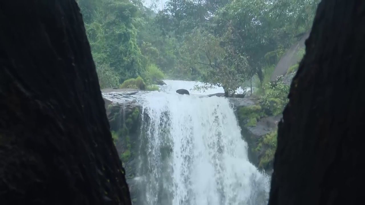 ഒരു രക്ഷയില്ല, കിടിലം വൈബ്; സഞ്ചാരികളുടെ മനം കവർന്ന് പുന്നയാർ വാട്ടര്‍ഫാള്‍സ് | Punnayar Waterfalls