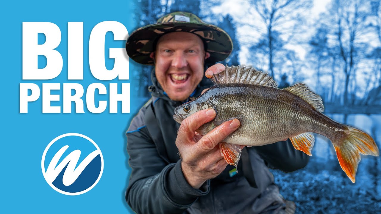 The Big Perch Challenge!