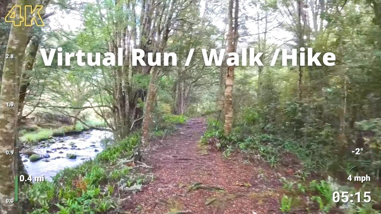 Virtual Run | Virtual Running Videos Treadmill Workout Scenery | Catlins River Track Run Walk Hike