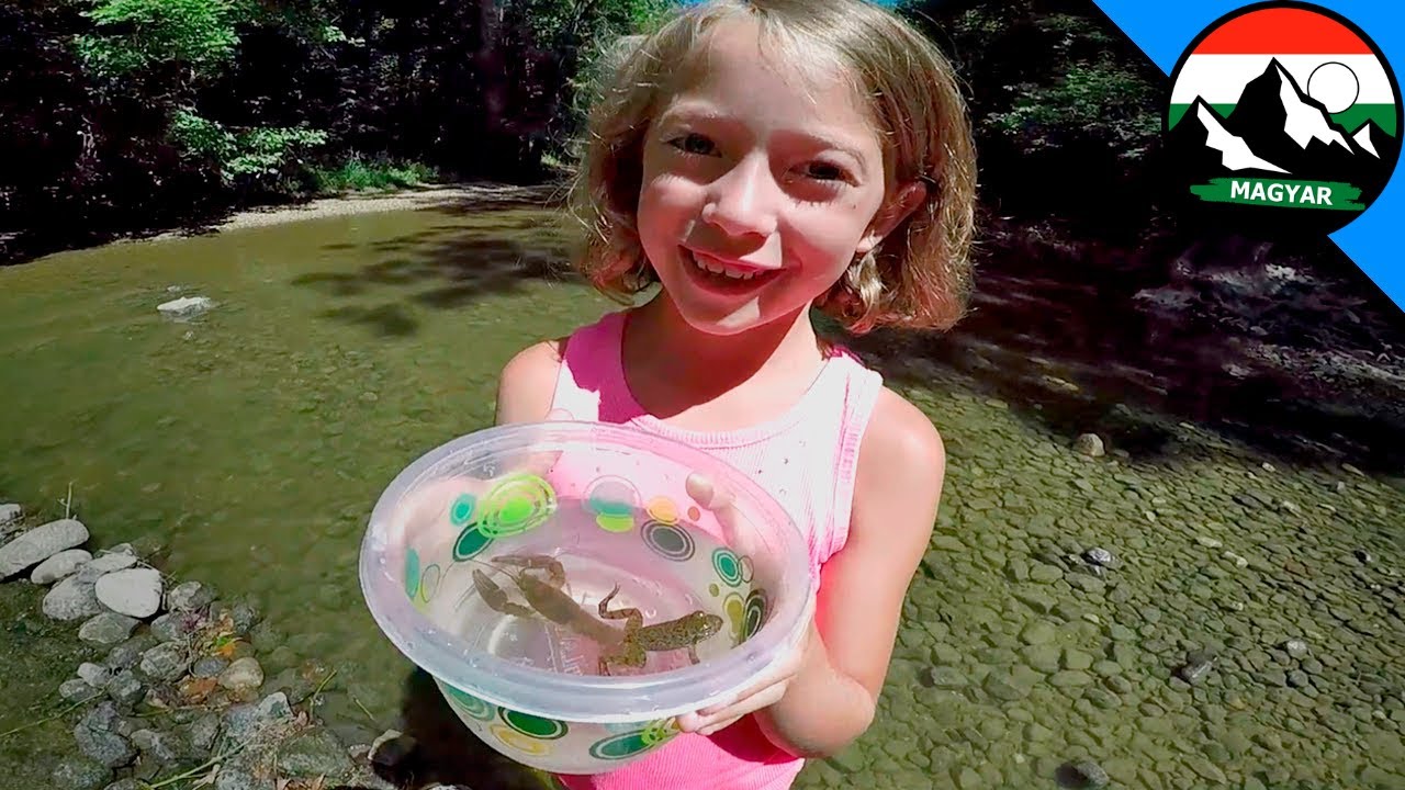Patakokat fedezünk fel hogy megtaláljuk az ott élő állatokat! 🦞 Brave Wilderness Magyar
