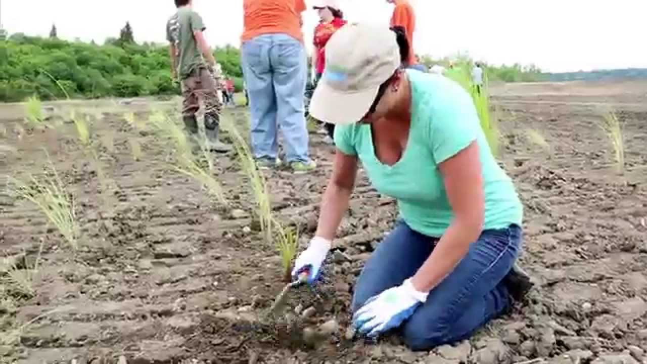 Onondaga Lake Conservation Corps