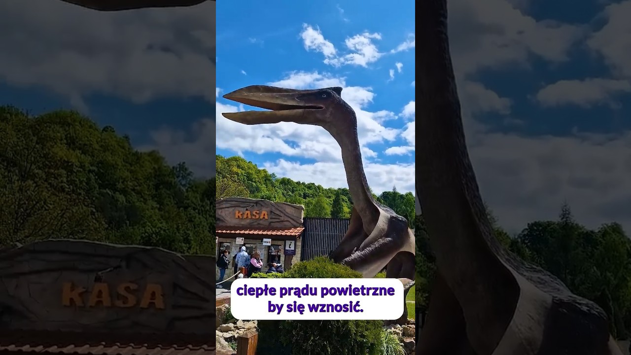 Jak latały największe pterozaury? #paleontologia #jurapark
