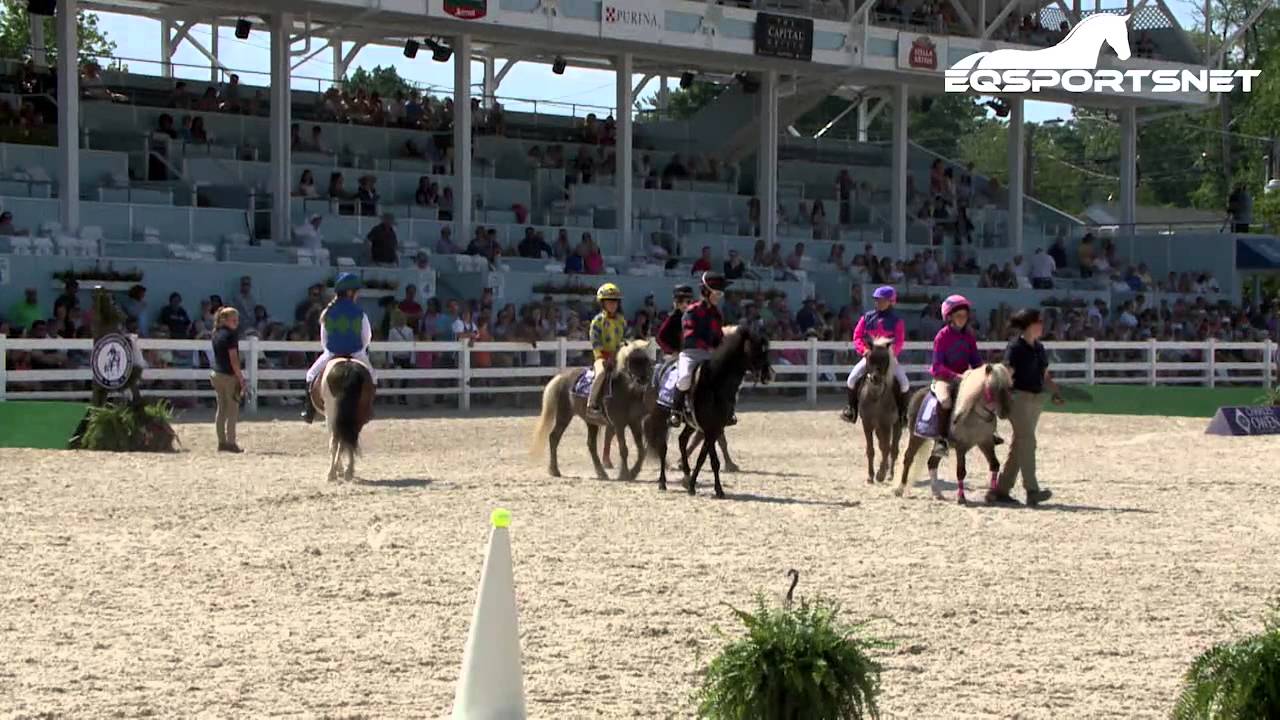 2015 WIHS Shetland Pony Steeplechase Series