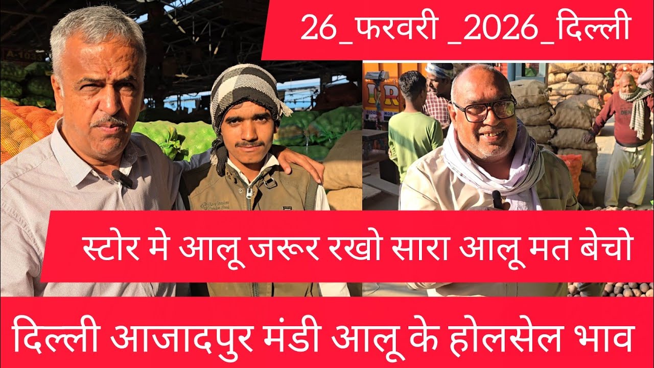 26 February 2026 दिल्ली 🥔आलू के भाव Azadpur Delhi mandi today #PotatoMarket #delhipotatomarket 