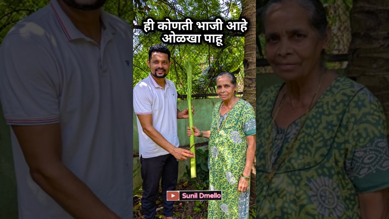 ही कोणती भाजी आहे ओळखा पाहू #vasai #farming #vasaifarming #sunildmello #marathi #marathivlogs