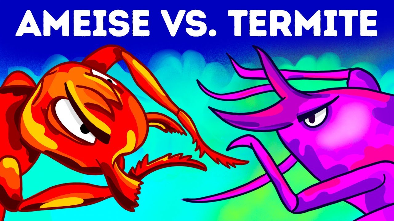 Ameisen gegen Termiten, ein episches Kräftemessen