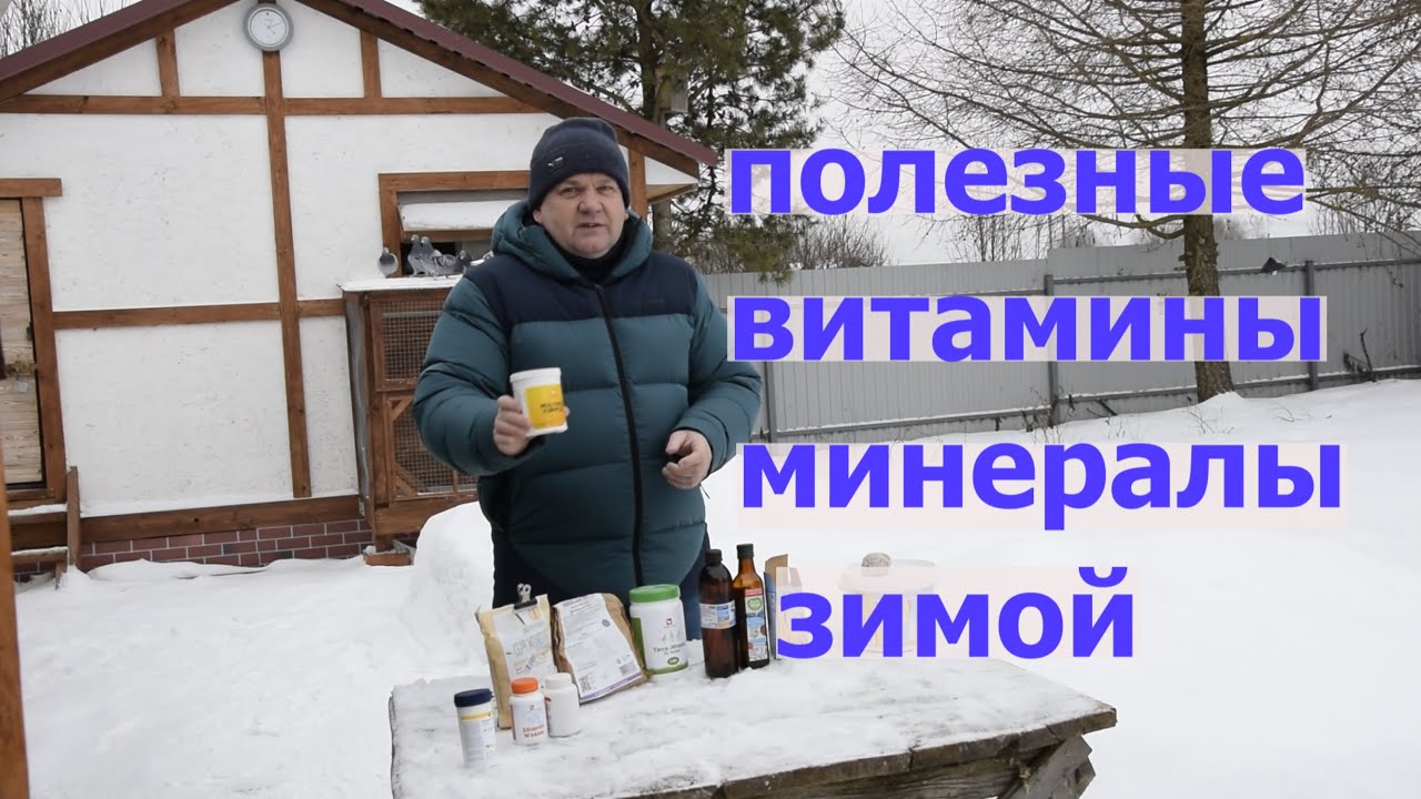 ВИТАМИНЫ И МИНЕРАЛЫ ГОЛУБЯМ ЗИМОЙ. Подготовка к выводному сезону 2023 года началась.