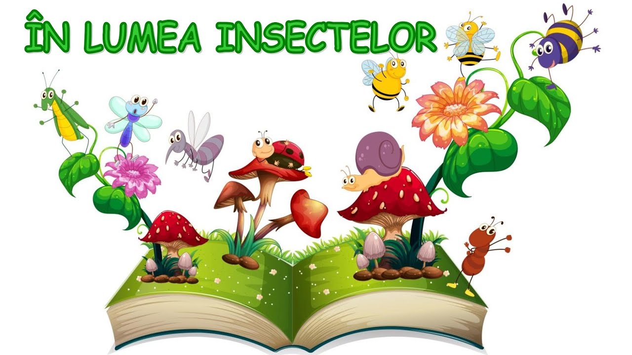 În lumea insectelor | Cunoașterea mediului
