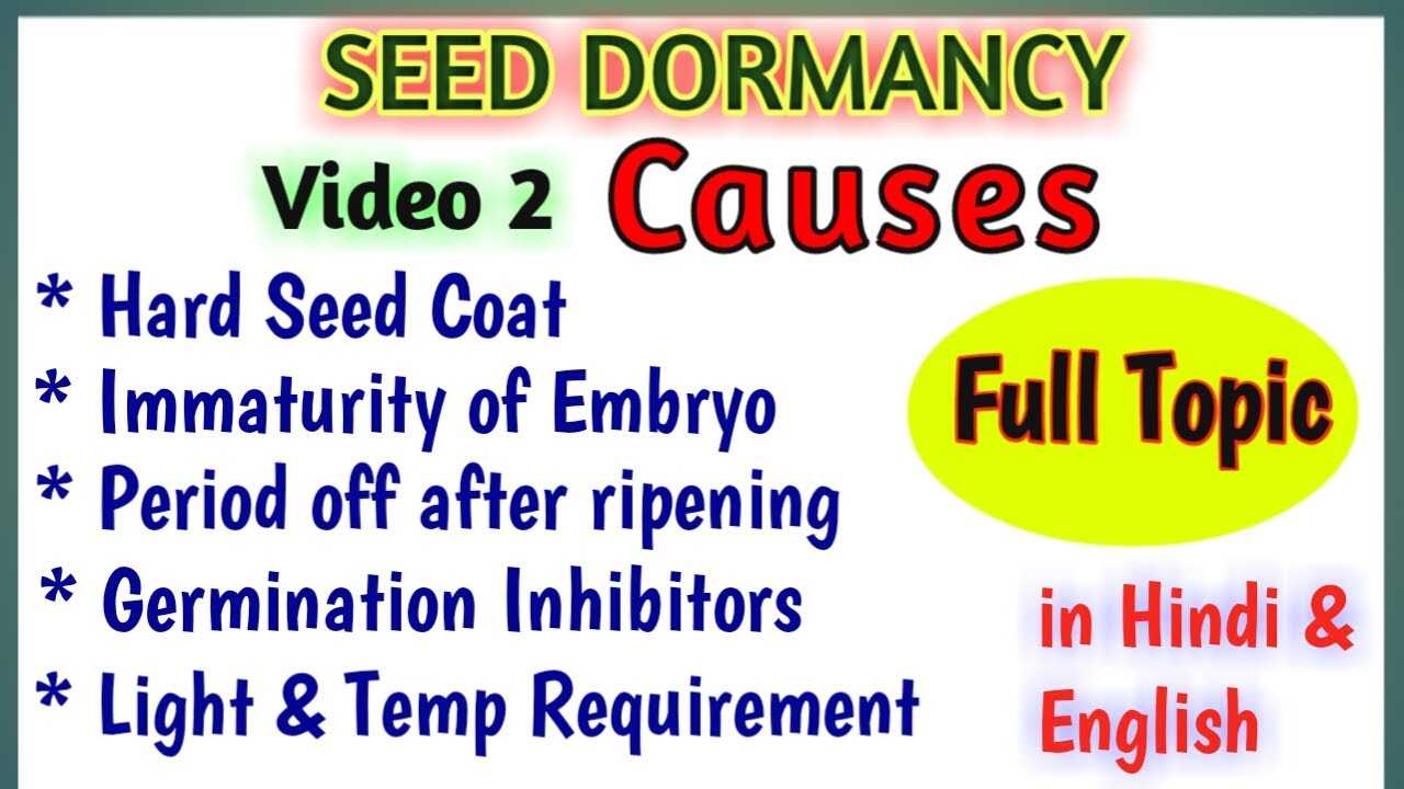 Causes of Seed Dormancy || Seed Dormancy Causes || Seed Dormancy Reasons ||