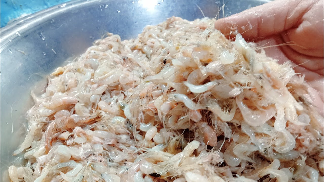 لو عند دى فى البيت عندك كنز تعالى اقلك نعمل ايه بيه