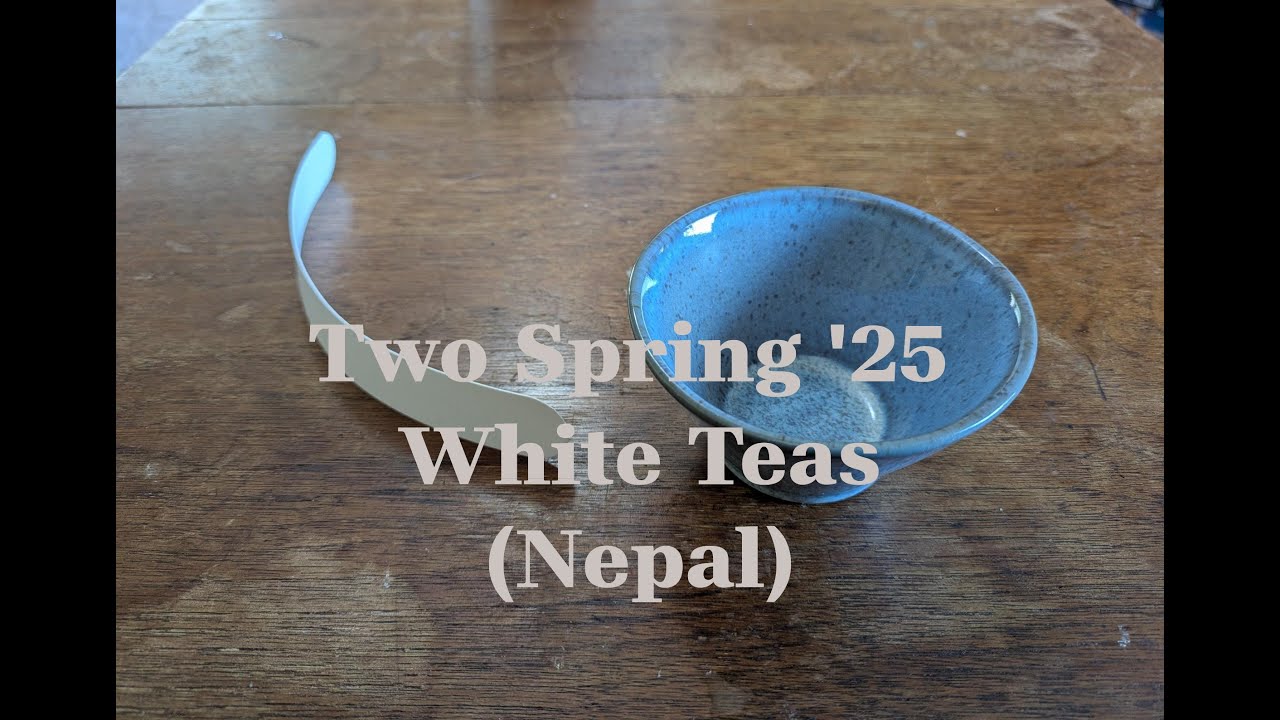 Two Spring ’25 White Teas (Nepal)