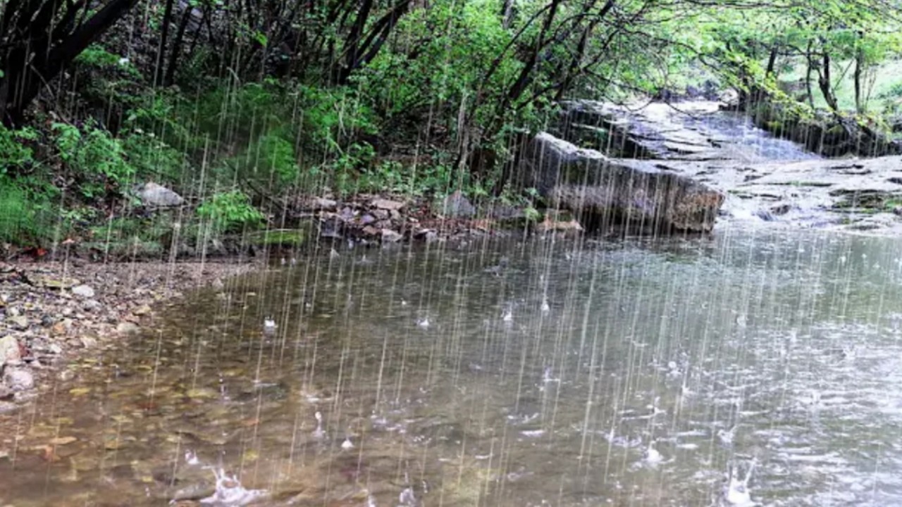 Gentle Rain Sounds for Deep Sleep | Relief for Insomnia, Tinnitus & Total Relaxation