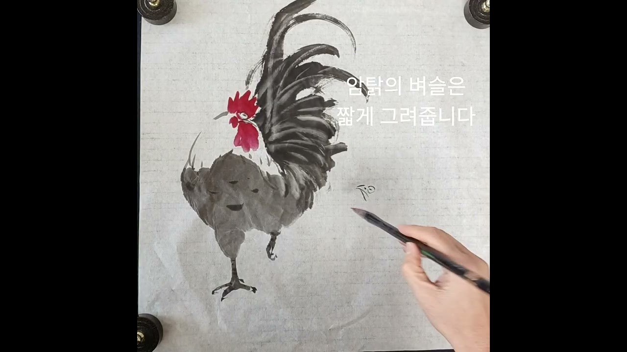 느린영상 닭그리기 세번째 #수탉과암탉 #암닭 #엄마닭 #암탉그리기