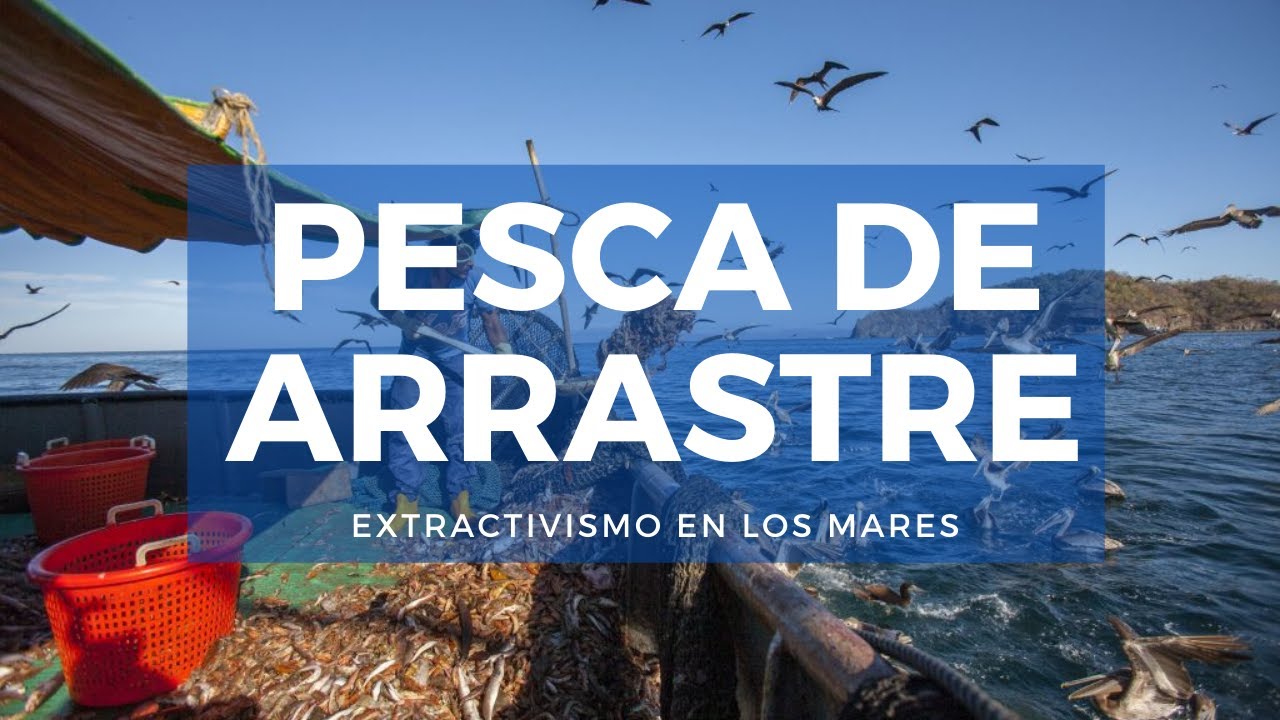 Pesca de Arrastre | Era Verde