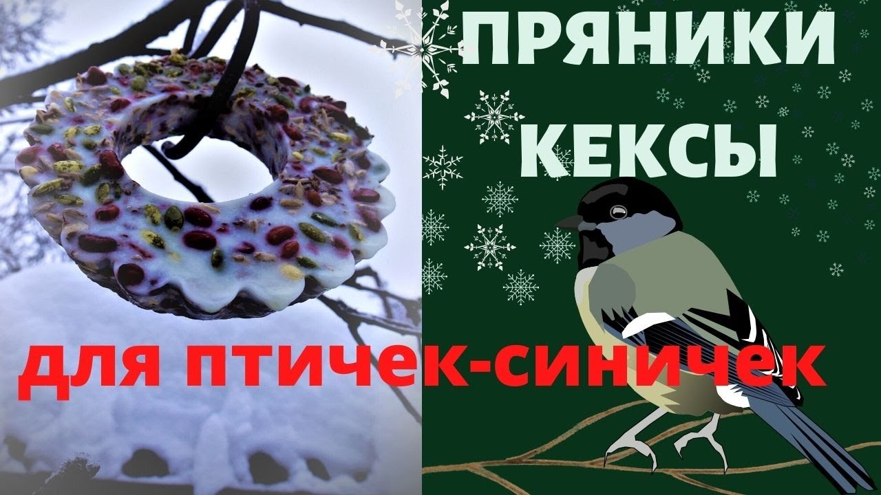 Супер-подкормка для птиц зимой. Рецепт орнитолога.