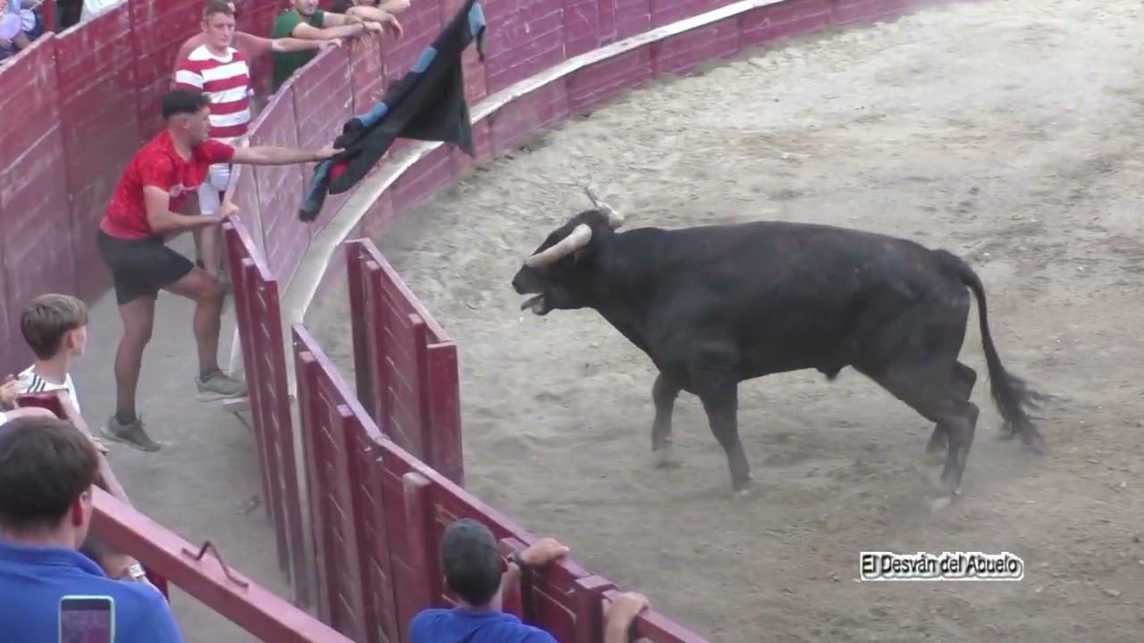 Capea en la Plaza J. Arriazu e Hijos 07 Ago 2025