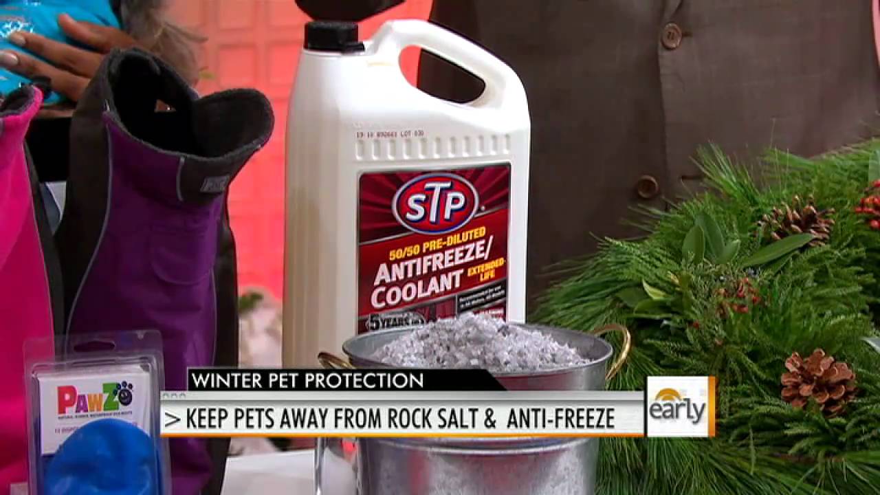 Winterize Your Pets