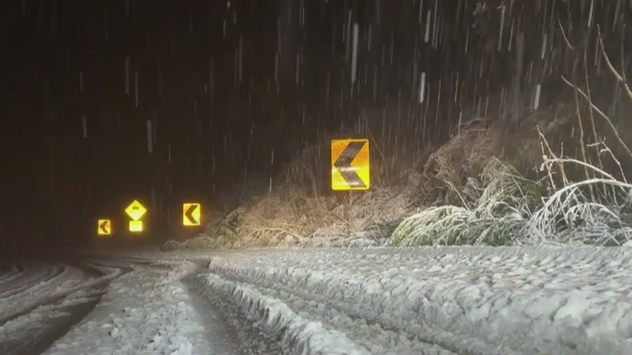 Snow falls across Bay Area; Highway 17 in Santa Cruz Mountains shut down