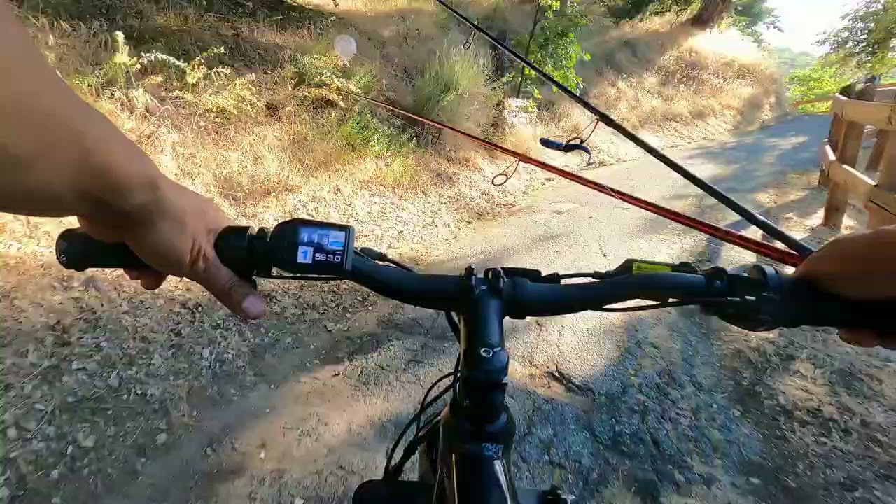 Silverwood Lake CA Fishing 2024 - Multi Species