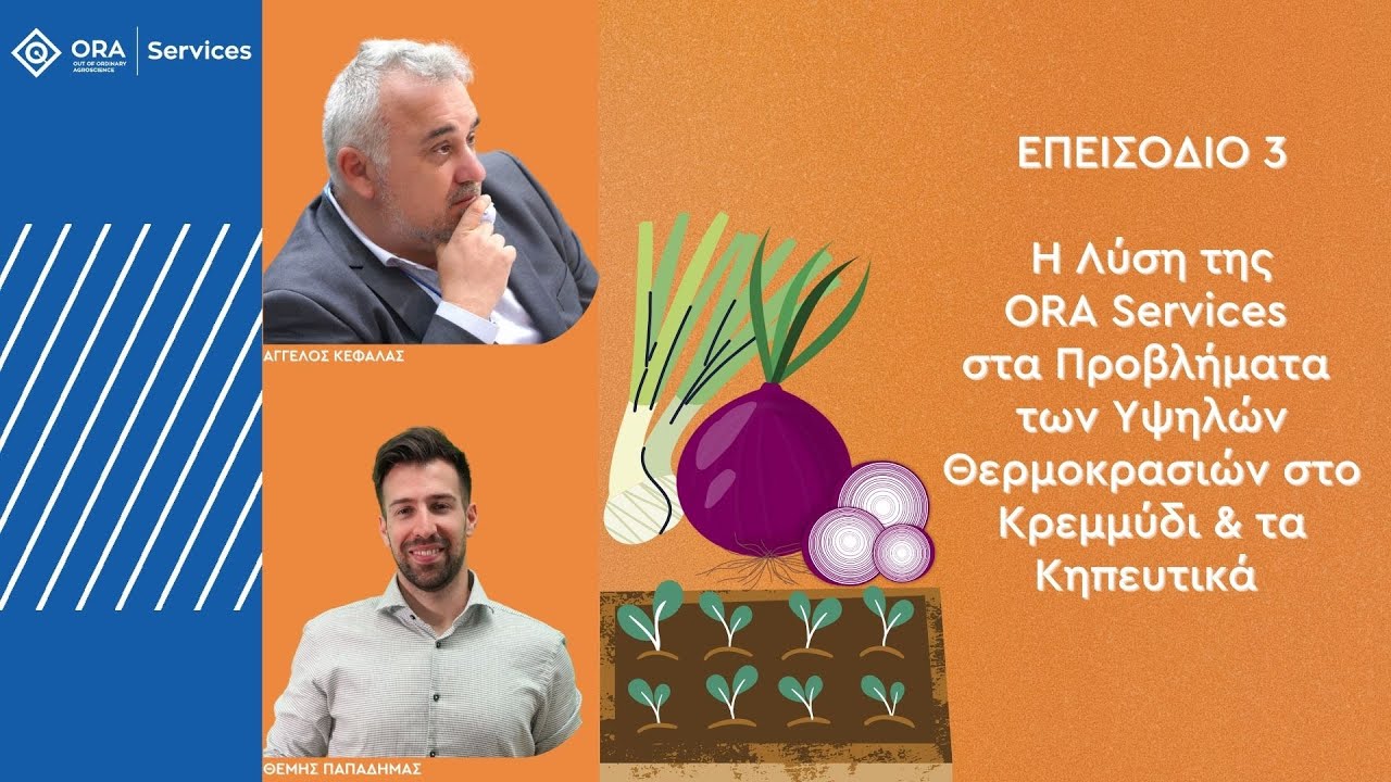 Η Λύση της ORA στα Προβλήματα Υψηλών Θερμοκρασιών στο Κρεμμύδι & Κηπευτικά - ΜΟΝΤΕΡΝΑ ΘΡΕΨΗ επ.3