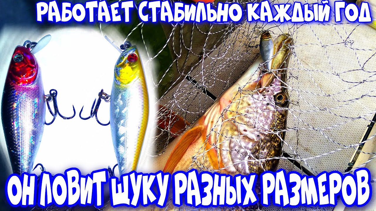 ТОП ВОБЛЕР  КОСИЛКА ДЛЯ ЩУКИ  Pontoon 21 Kalikana,Exclusive Leader эксперимент . Питание эхолота