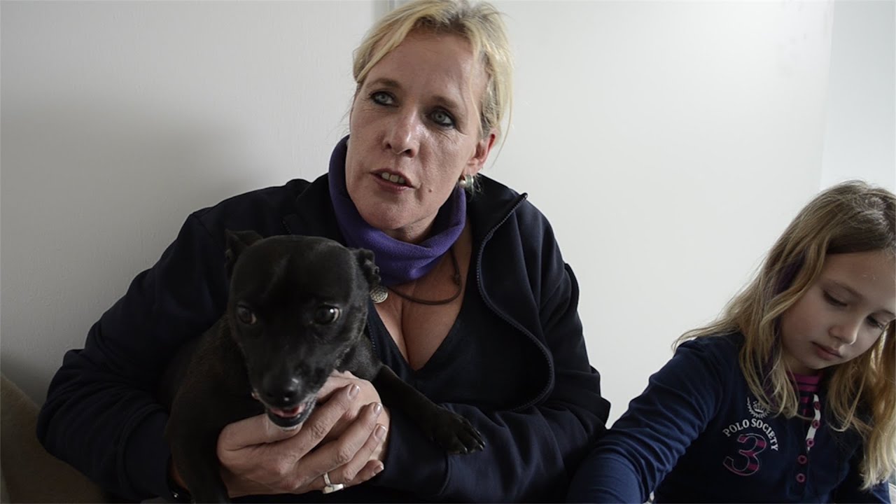 06.03.2015 - Tierheim Koblenz hat neues Zuhause