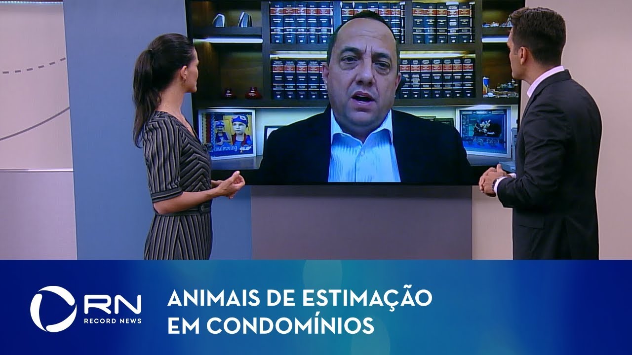 Animais de estimação em condomínios: especialista explica direitos e deveres