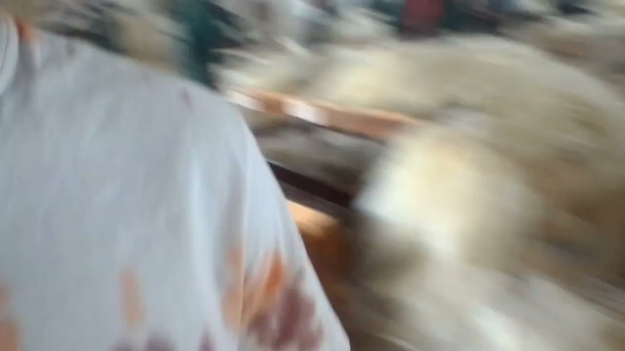 DWA industry sisal processing In Kibwezi Eastern Kenya