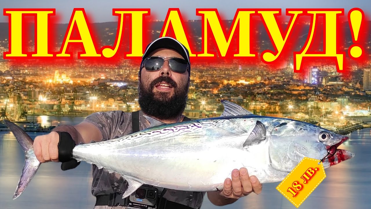 Паламуди за Никулден За ЛАПНИШАРАНИ Get In!