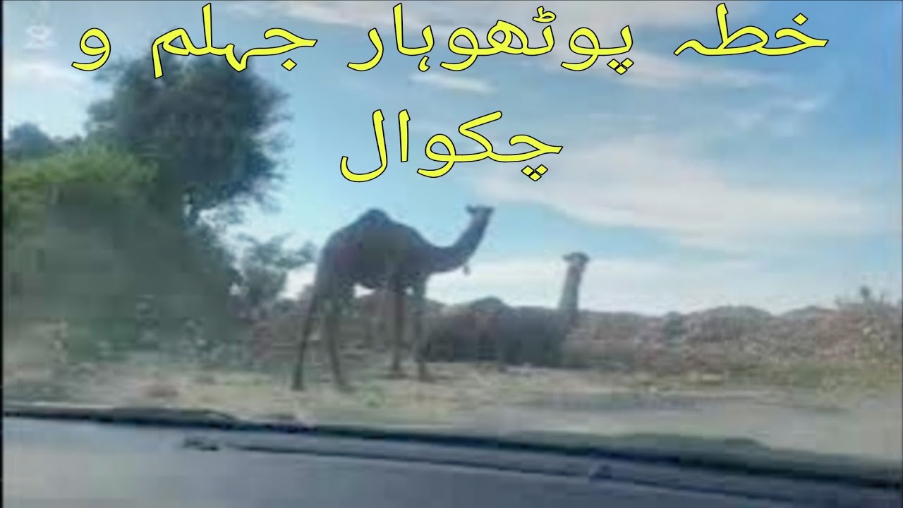 Exploring plateaus of potohar || Chakwal and Jehlum