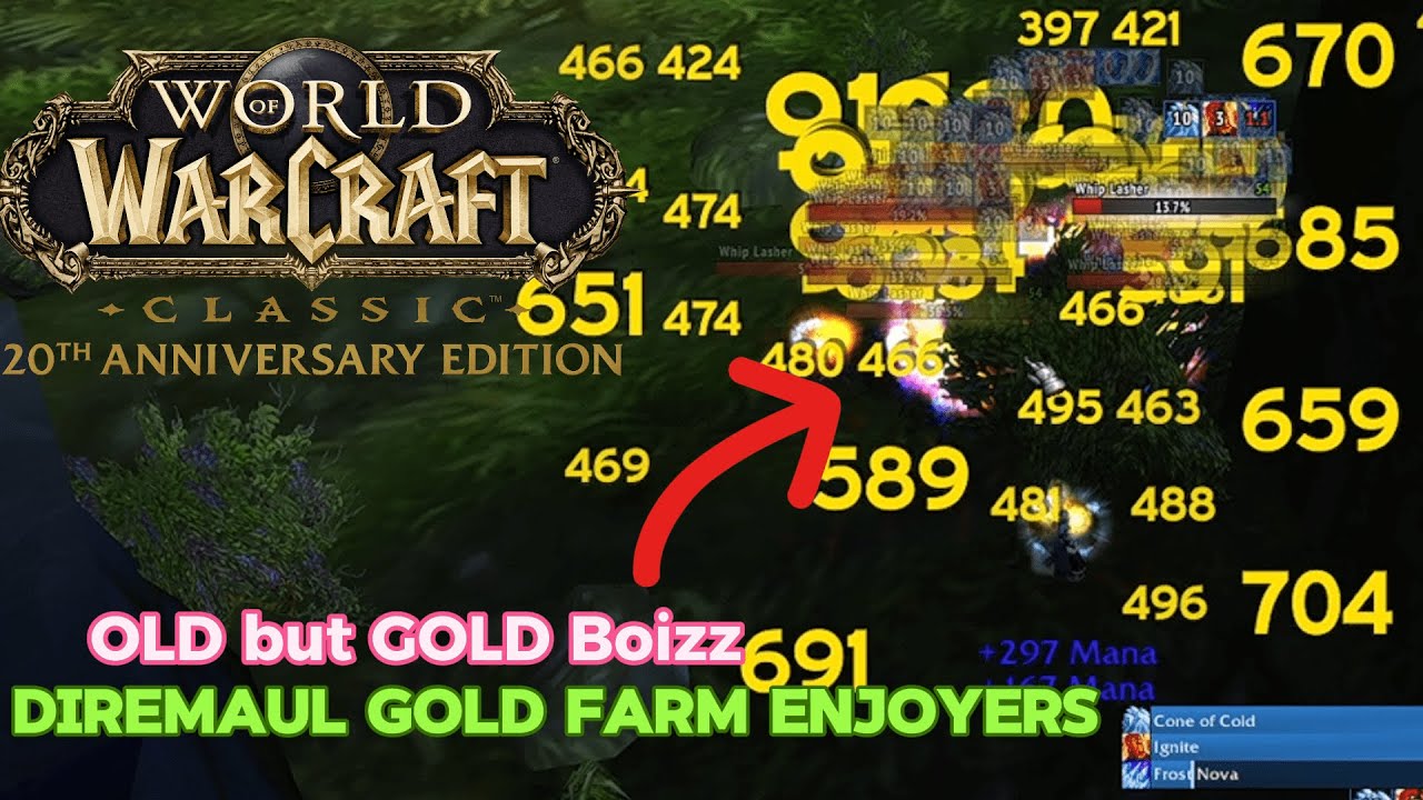 WOW Aniv: OLD but GOLD | Маг AOE соло Дирмол Восток DME - WOW Classic Gold Farm