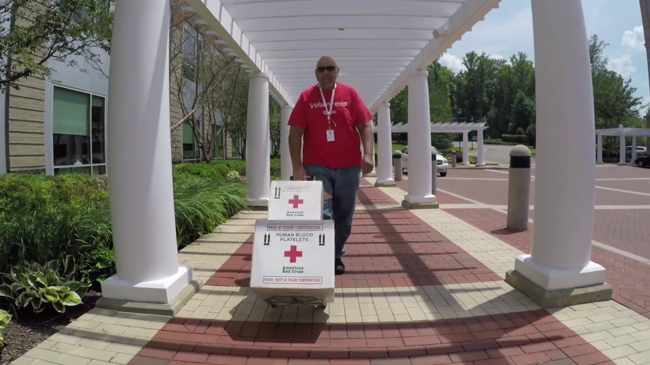 Volunteer to deliver lifesaving blood