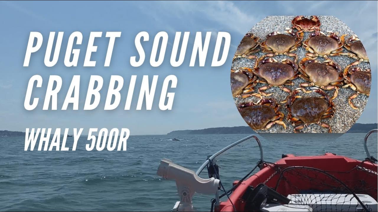 2021 Puget Sound Summer Crabbing - Whaly 500R