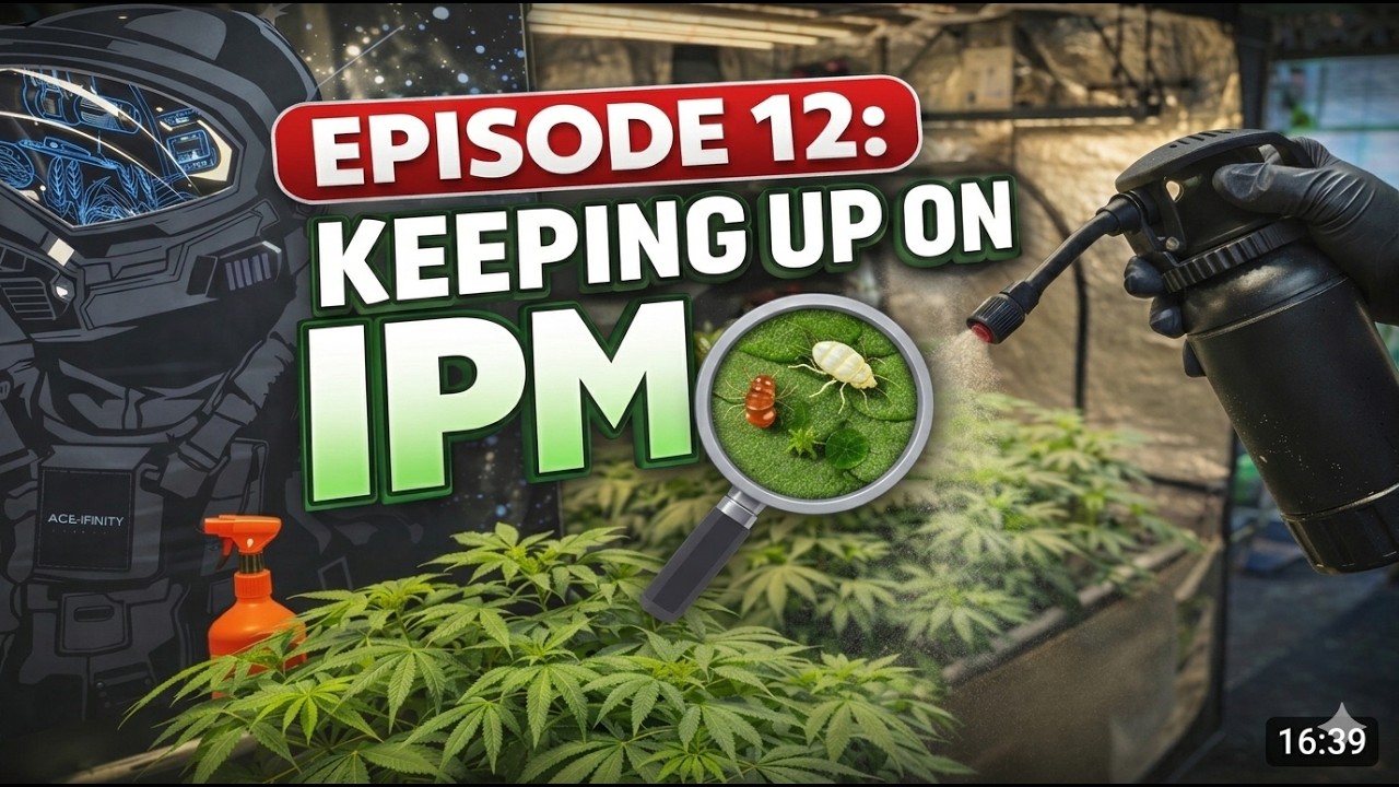 IPM in Living Soil&mdash;Cover Crop & Pill Bug Problems Explained | EP12