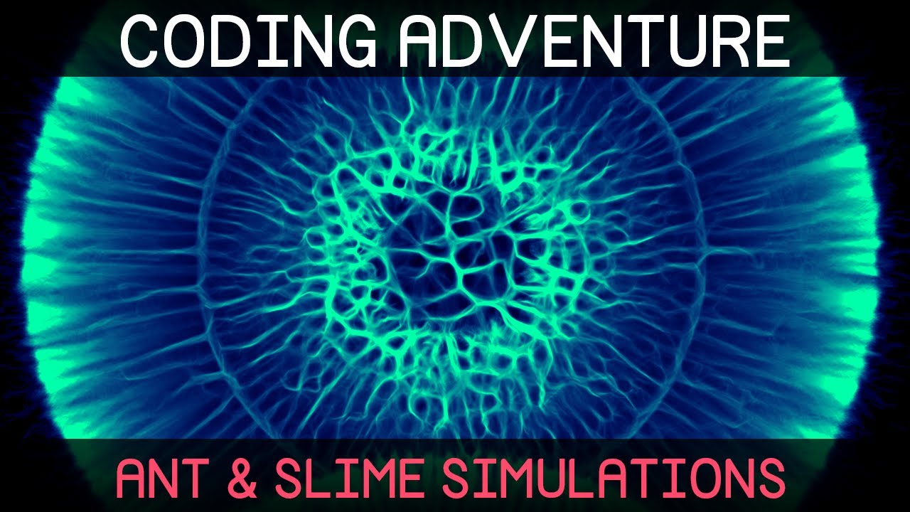 Coding Adventure: Ant and Slime Simulations