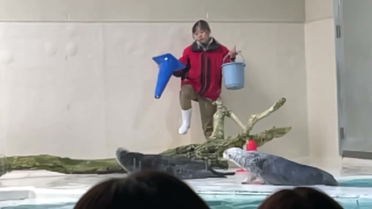 ラッコのメイちゃん　鳥羽水族館　三重県