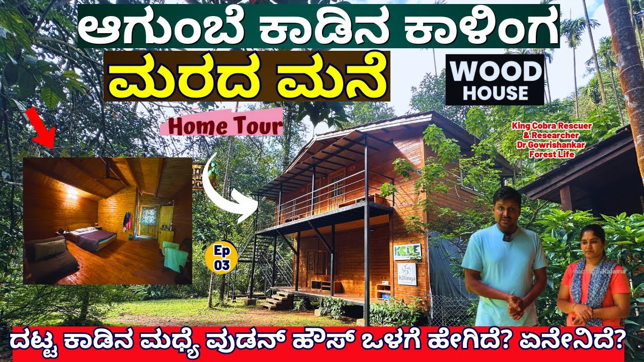 FOREST WOODEN HOUSE TOUR-