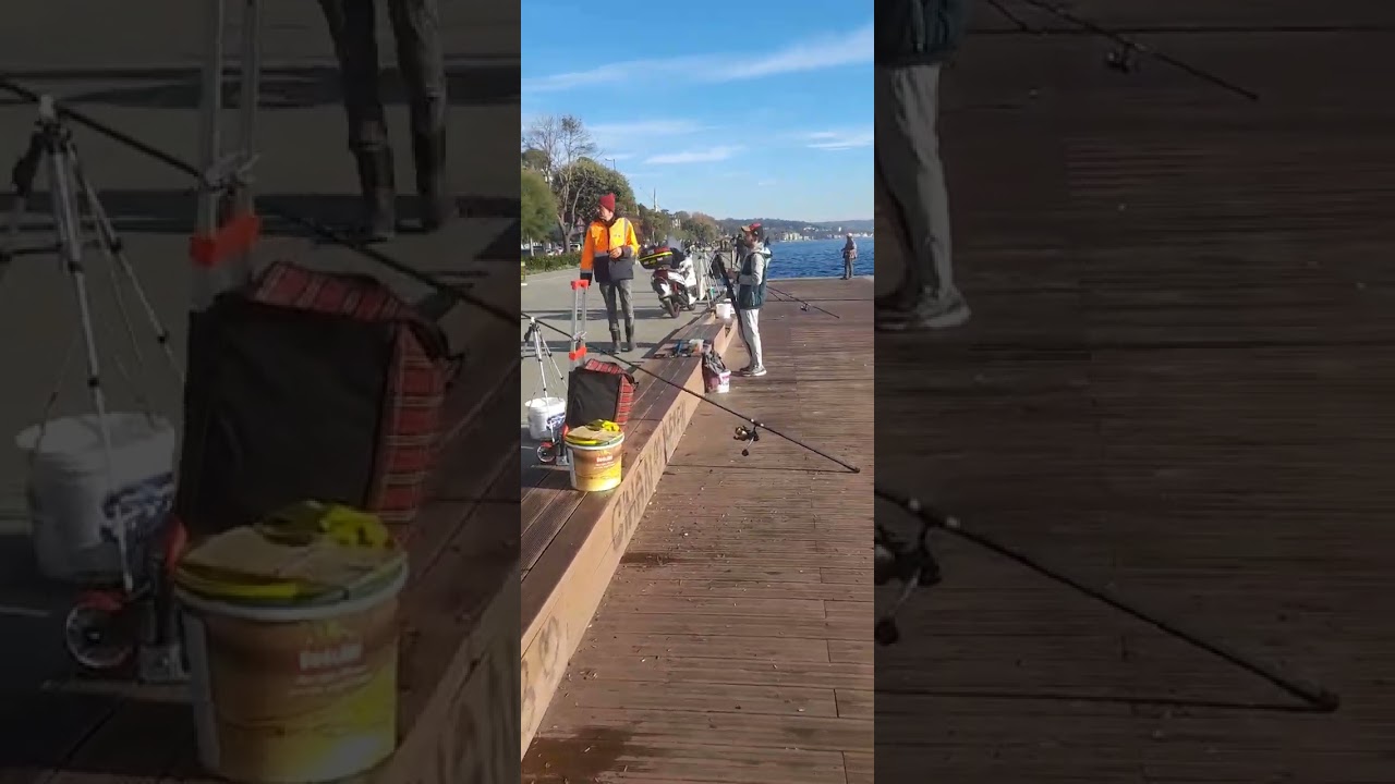 👍Emirgan'da lüfer durumu Arkadaşlar iyi seyirler. Bütün balık tutmayı sevenlere gelsin Rast gelsin🐟