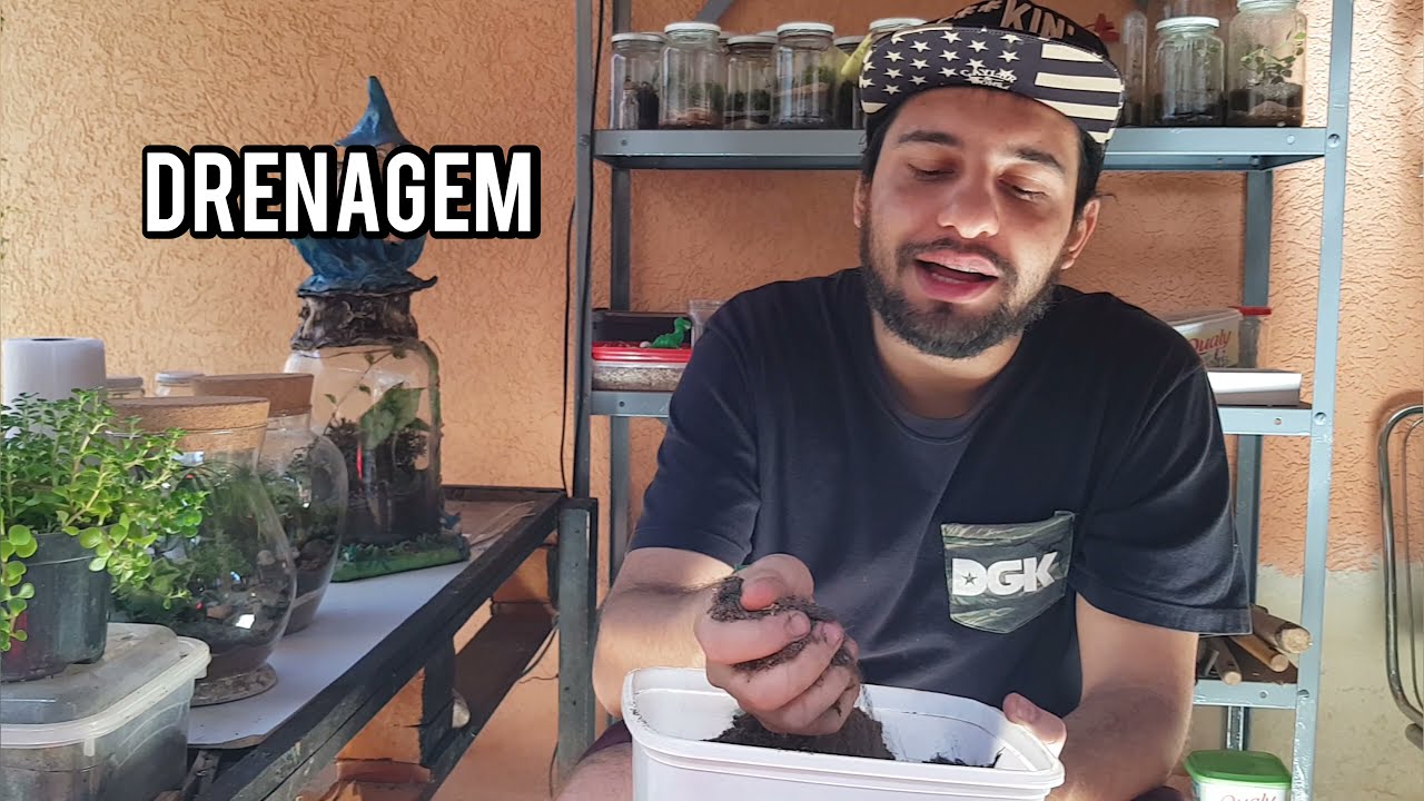 ANTES DE MONTAR UM TERRÁRIO, VEJA ESSE VÍDEO!