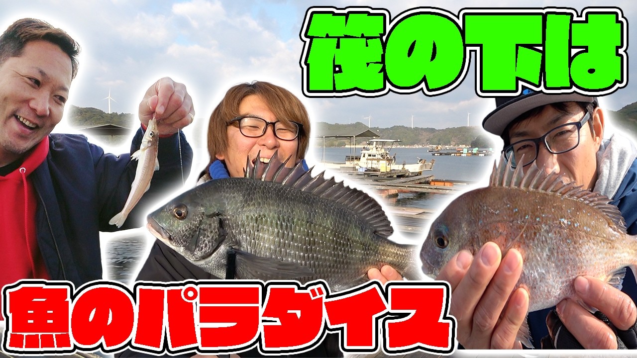 エサを落とすだけのお手軽フィッシングで五目釣り達成！！