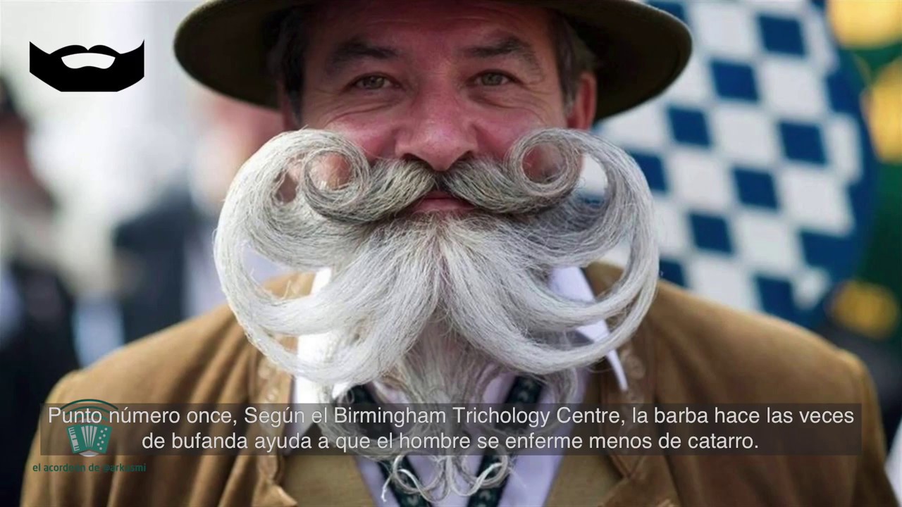 14 Barba