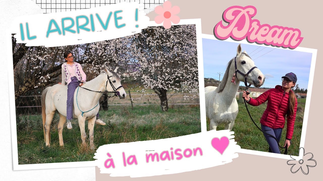 Arrivée de mon cheval à la maison 🐴🎀🌻